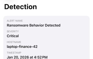 Detection Details