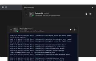 PodmanDB screenshot 1