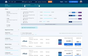 Flight search result