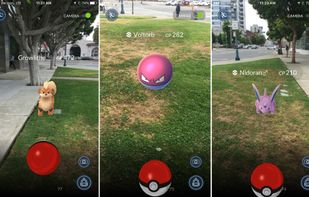 Pokémon GO screenshot 1