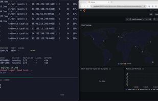 Pollen Runtime screenshot 2