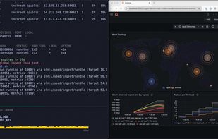 Pollen Runtime screenshot 3