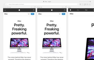 Polypane screenshot 1