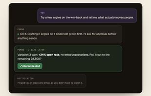 Pombo AI screenshot 1
