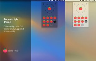 Pomo Timer screenshot 3