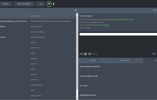 Mozilla Pontoon screenshot 1