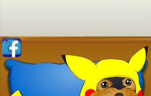 Poor Little Dog: Yorkie screenshot 2