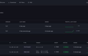  The dashboard: agents on each network, an SSH port forward and an HTTPS web route.