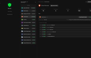 Network Activity Overview