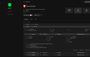 Detailed Connections of Brave Browser