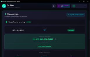 Main Screen — Tunnel launch, connection status, and server address
