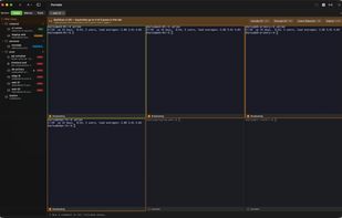 MultiExec broadcasts your keystrokes to every included pane — with a loud banner counting what's live. Drop a host out for a single command and put it back (??M, or the status bar under any pane) without disarming.