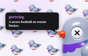 Portwing product overview: a secure foothold on remote Docker hosts.