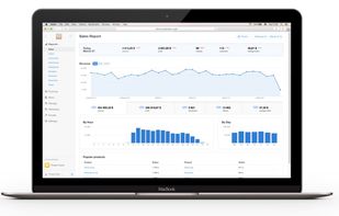 Admin Panel. Sales Reports.