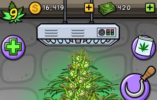 Bud Farm screenshot 1