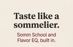 Pour Decisions - Wine Pairing screenshot 2