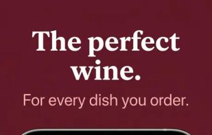 Pour Decisions - Wine Pairing screenshot 1