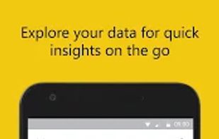Microsoft Power BI screenshot 1