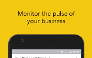 Microsoft Power BI screenshot 1