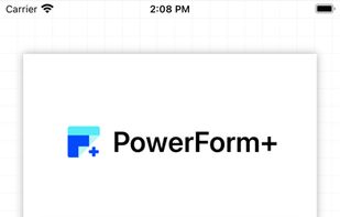 PowerForm screenshot 1
