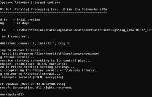 Remote interactive shell
