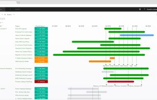 Portfolio timeline in PPM Express with all the details from all the projects and programs