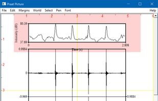 Picture generator for reports