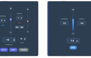 Professional audio controls: Precision speed and pitch sliders with BPM mode, musical key transposition, and per-region audio settings.
