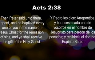 Multilingual
Present two languages side-by-side