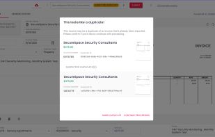 Duplicate invoice example