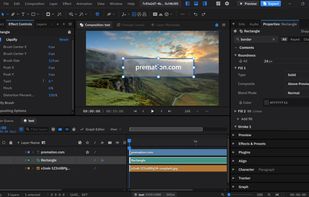 editor
