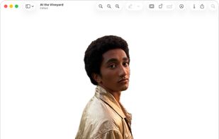 Preview screenshot 2