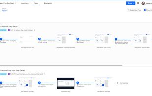 Edit mode - flow view