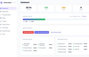 Dashboard: cache hit rate, quick actions such as clearing the cache, and the status of each feature at a glance.
