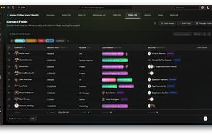 Project database with connected records, custom fields, relationships, rollups, filtering and spreadsheet-style views.