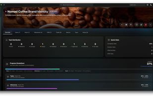 Project overview with tasks, goals, milestones, CRM links, custom fields, metrics, notes and progress tracking in one place.