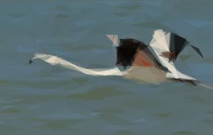 Primitive screenshot 1