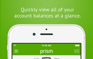 Prism Money screenshot 1