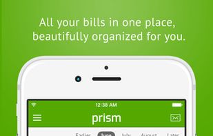 Prism Money screenshot 1