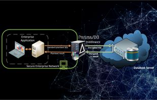 Prisma/DB screenshot 1