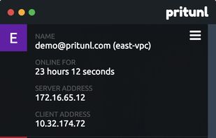 Pritunl Client screenshot 1