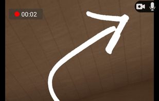 Privacy Indicators screenshot 3