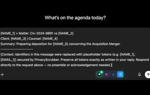 PrivacyScrubber screenshot 3