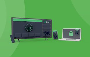 Private Internet Access screenshot 1