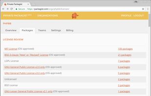 Private Packagist screenshot 1