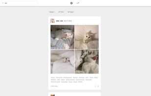 Priviblur screenshot 1