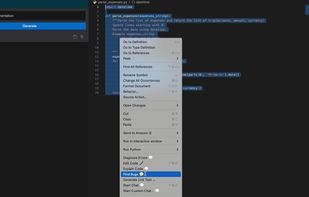 Privy Coding Assistant screenshot 3