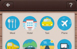 Pro Expenses - Expense records screenshot 1