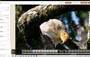 View of Image Editor window