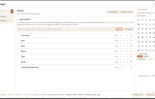 View of Tag Manager window.